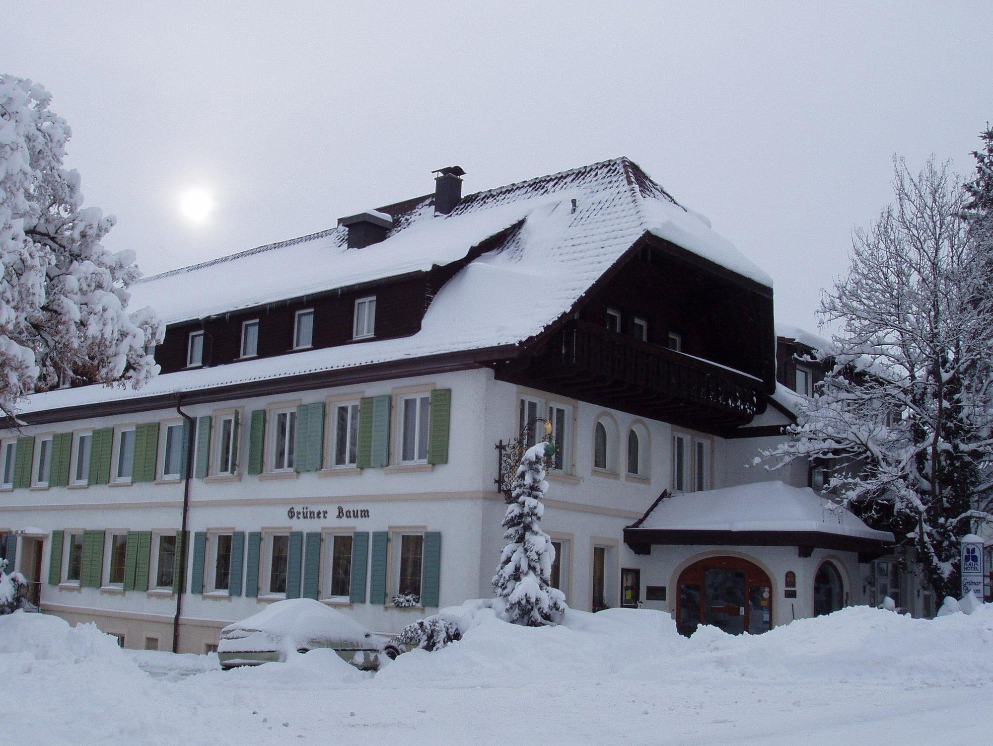 Flair Hotel Gruener Baum Donaueschingen Exterior photo